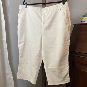 Intro. ❤️ love the fit Women's Rose Capri Power Stretch Tummy Control Pull-On